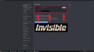 Pseudo et Avatar Discord Invisible