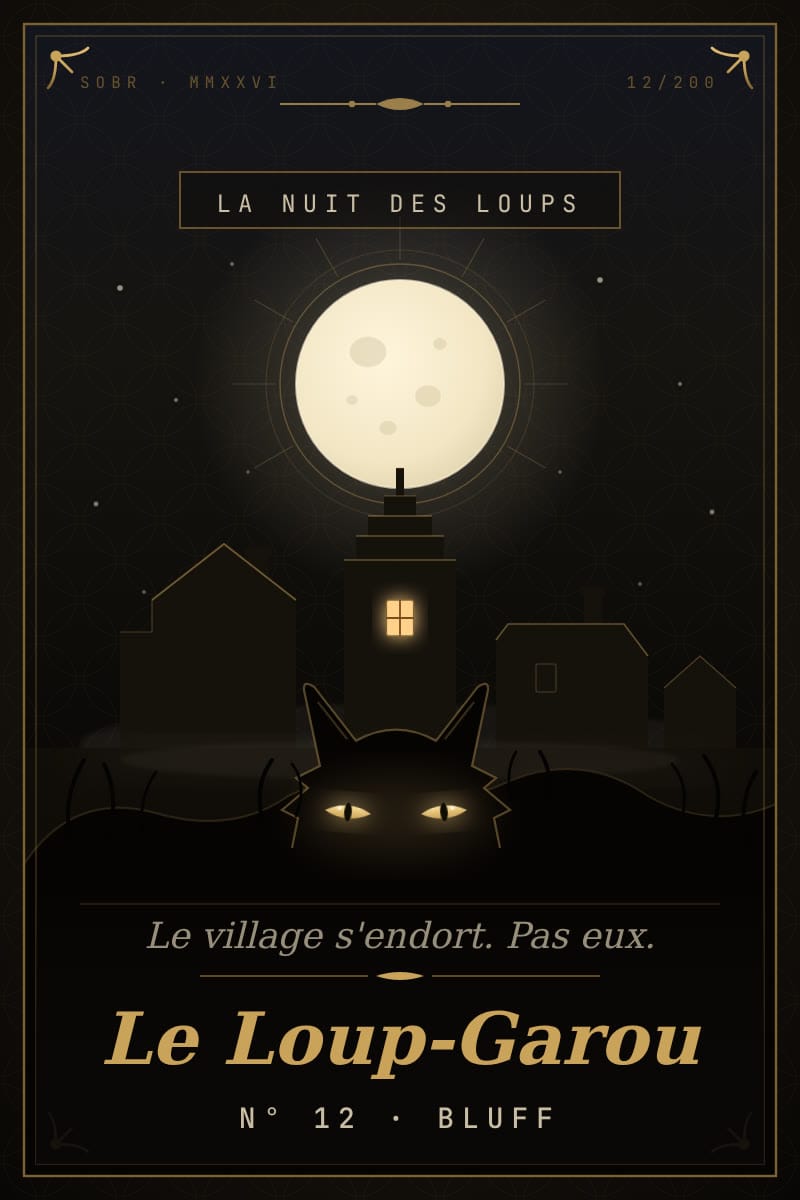 playsobr affiche loup garou